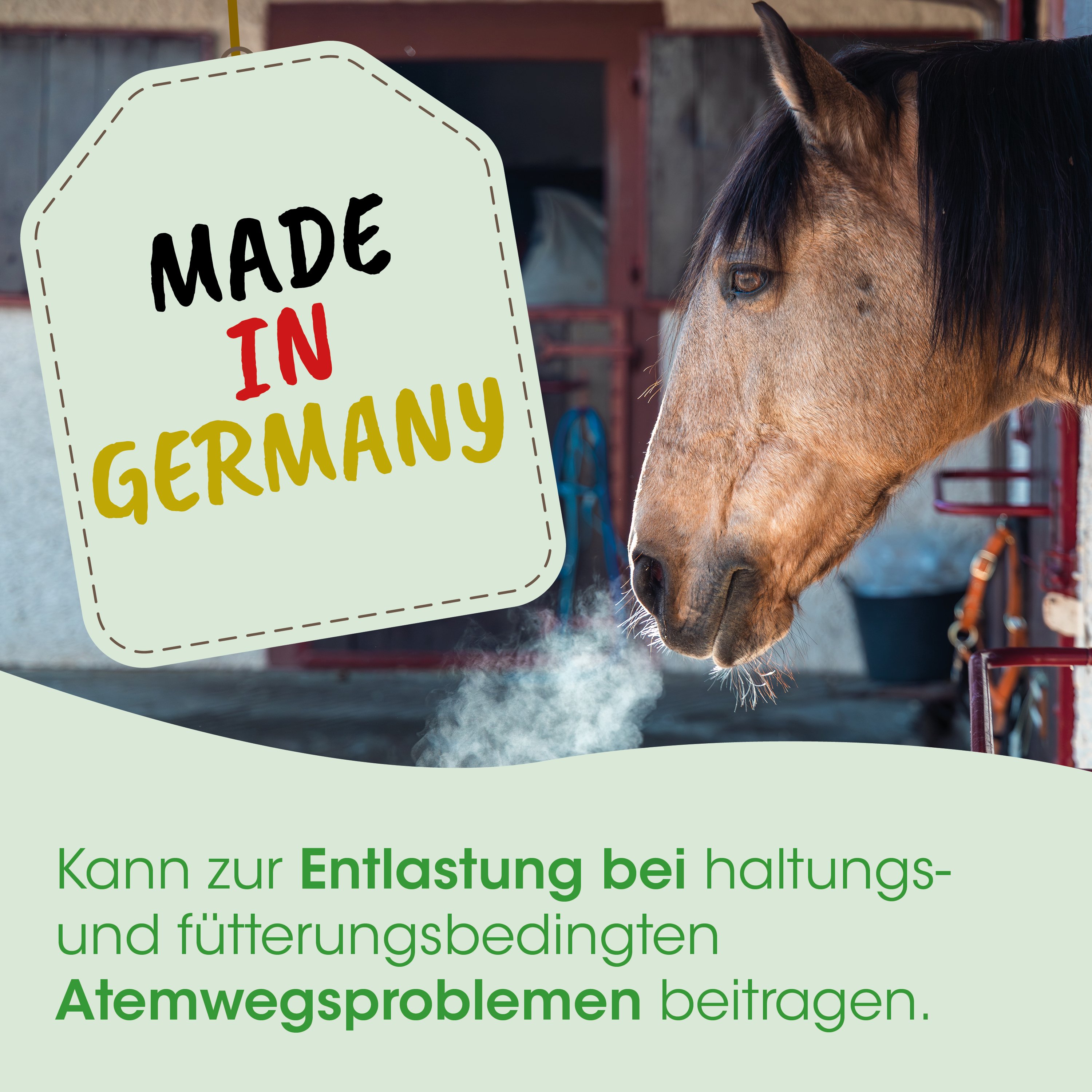 Pferd,  Stall, Dampf, Stallgebäude, Made in Germany
