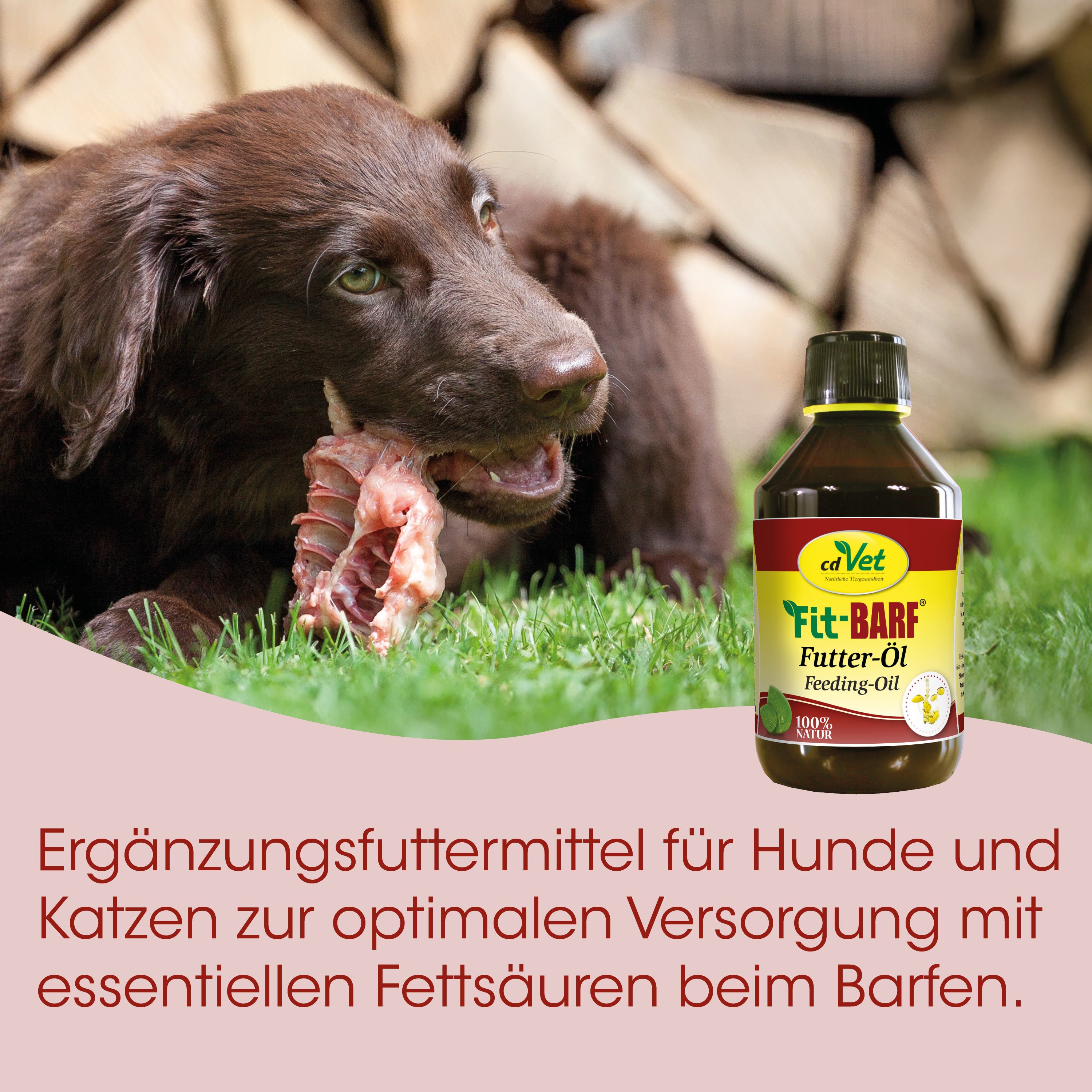 Hund, Kau-Schlacht, Futteröl, Barf, Ergänzungsfuttermittel