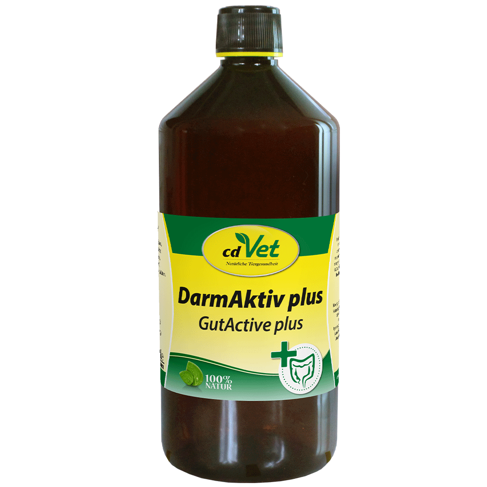 DarmAktiv plus 1 L