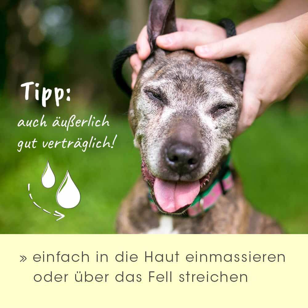 insektoVet Bio-Kokos-Schwarzkümmel-Öl 100 ml