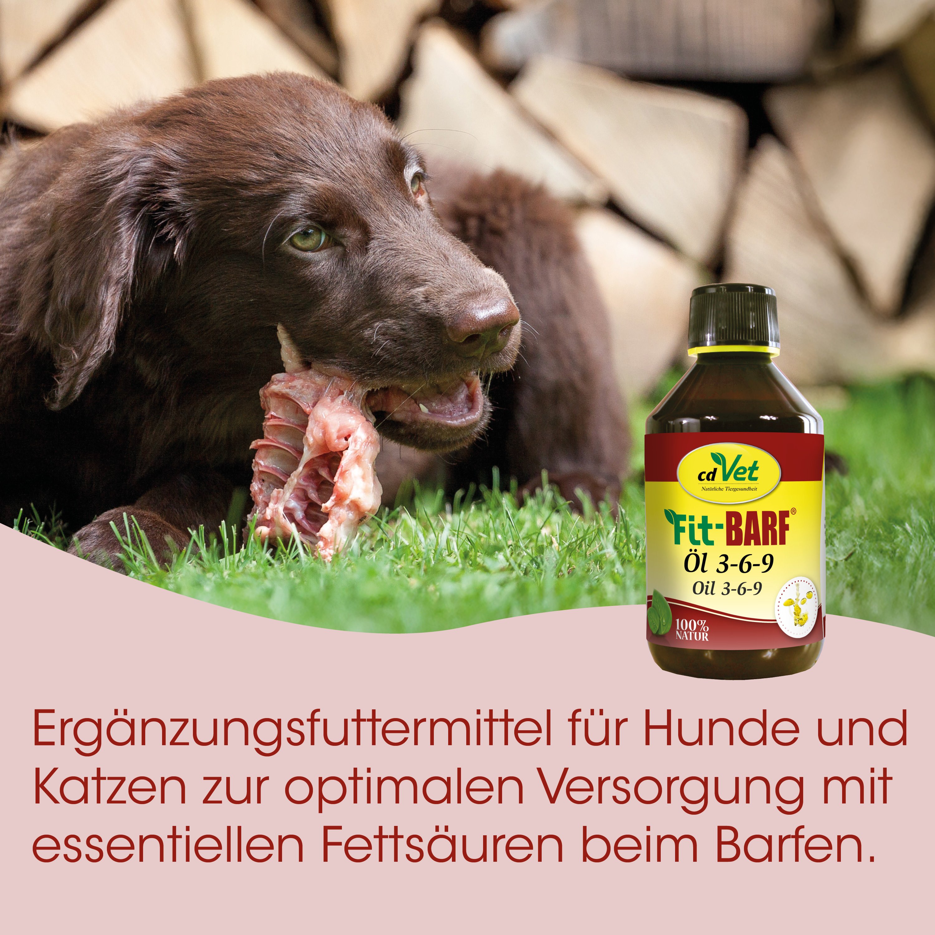 Hund, Hundefutter, Fleischknochen, Knochenstück, Ölflasche