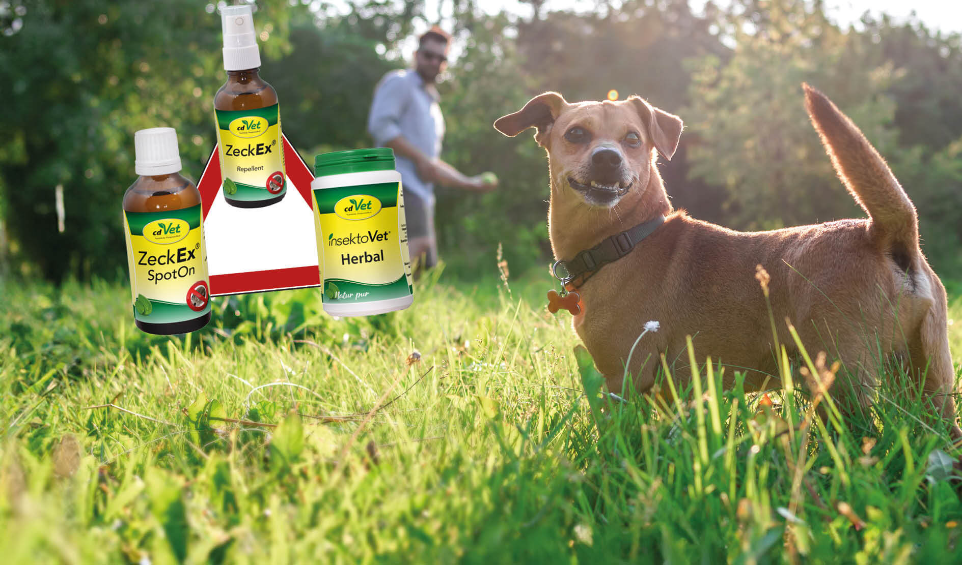 Tierarztmittel, Spot-On, Insektenschutz, Herbal, Spray, Hund, Pferd?, Tierarzt, Insektenprävention, Spot-On