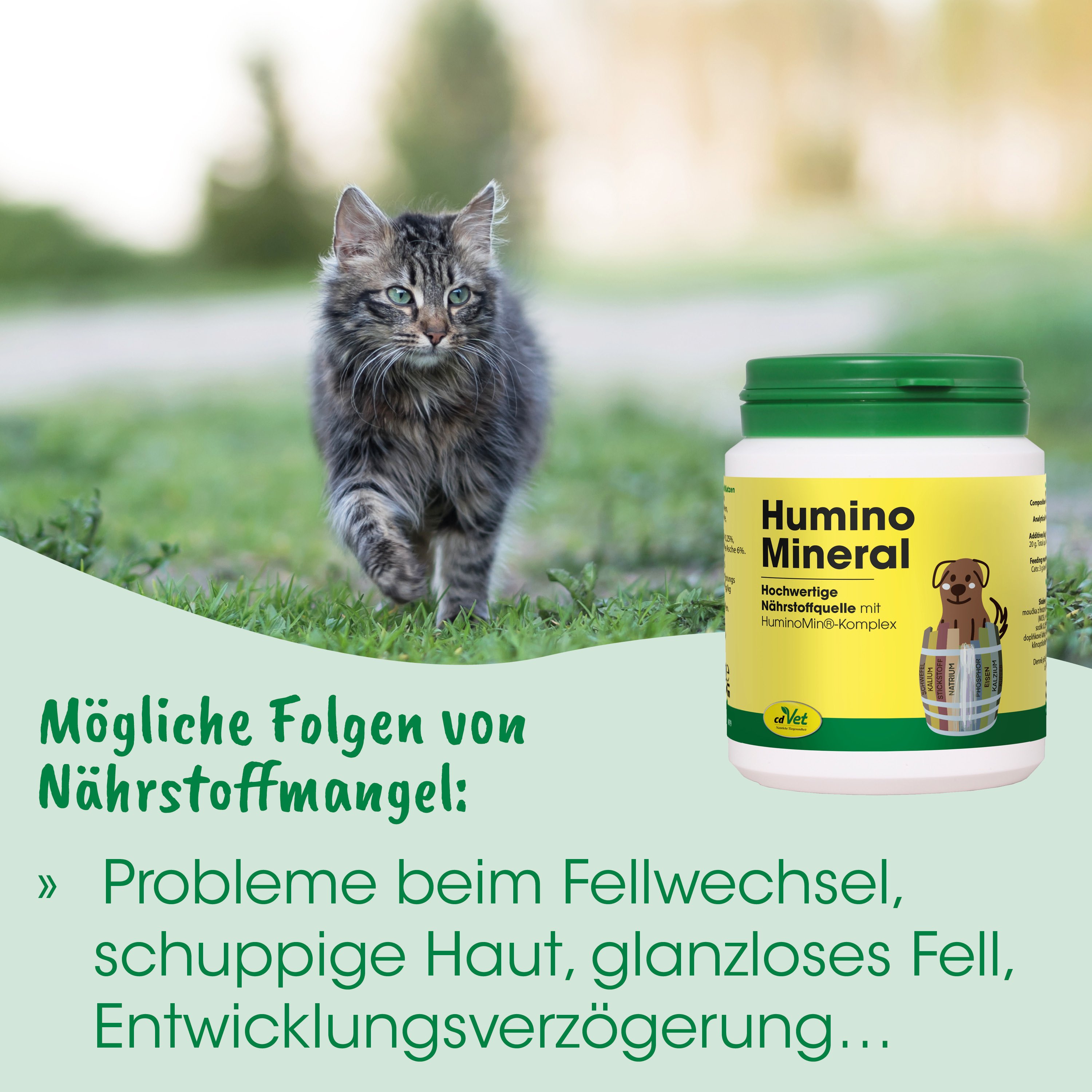 Katze, Katzenfutter, Nahrungsergänzung, Grasgrün, Futterdose