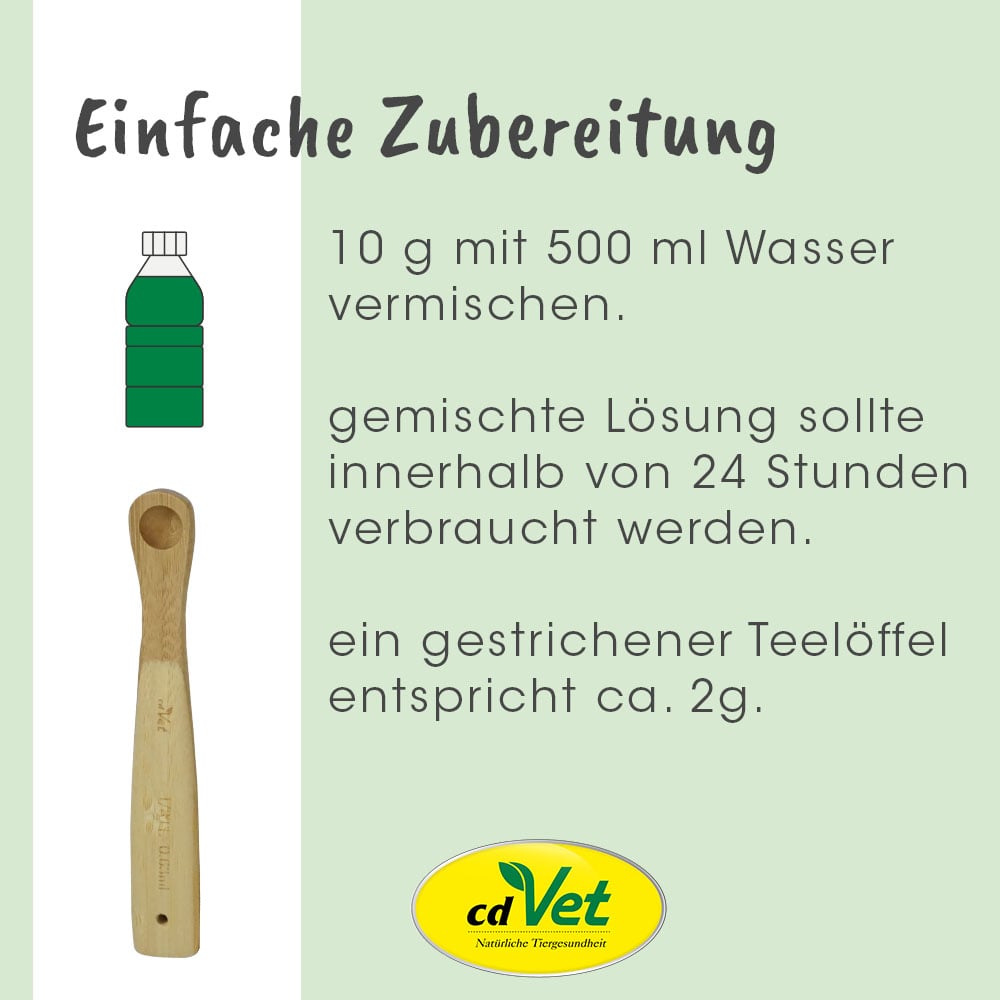 Besteck, Löffel, Pinsel, Werkzeug, Werbung