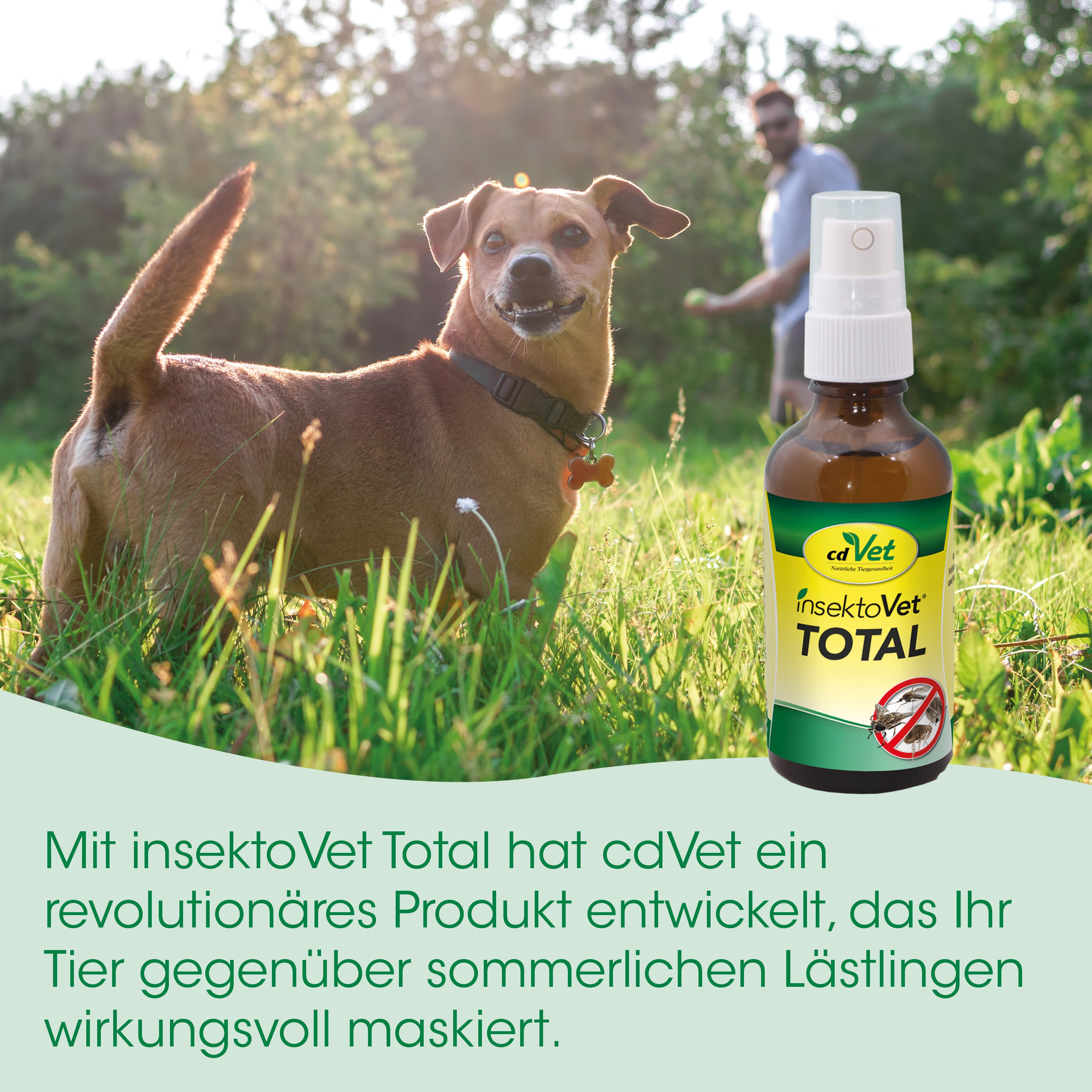 Hund, Haustier, Spray, Insektenschutz, Totallabel