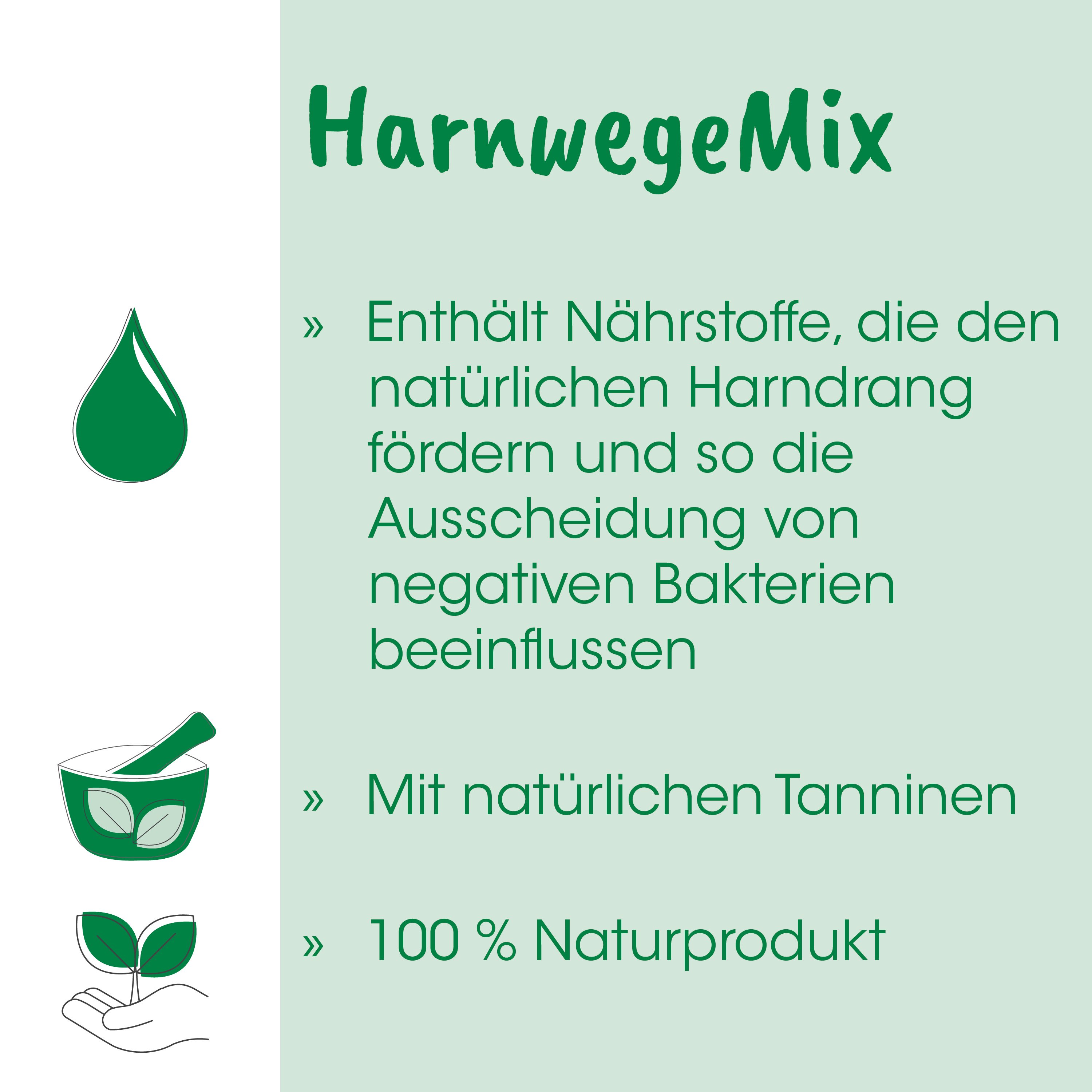 Tropfen, grün, Schüssel, Mörser, Pflanze