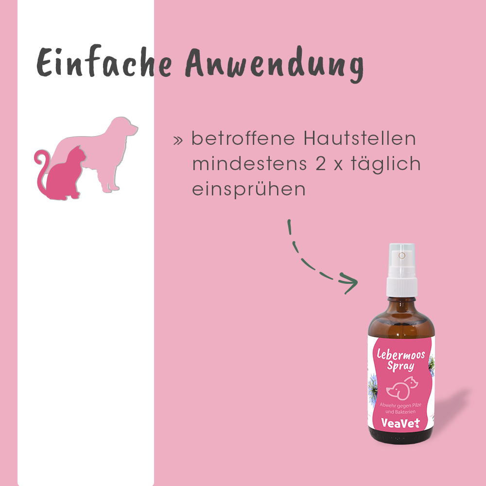 Sirup, Kräuterig, Werbung, Lotion, Bär