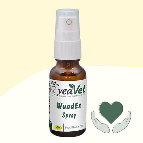 Hund-im-Urlaub_ProduktBanner-WundExSpray