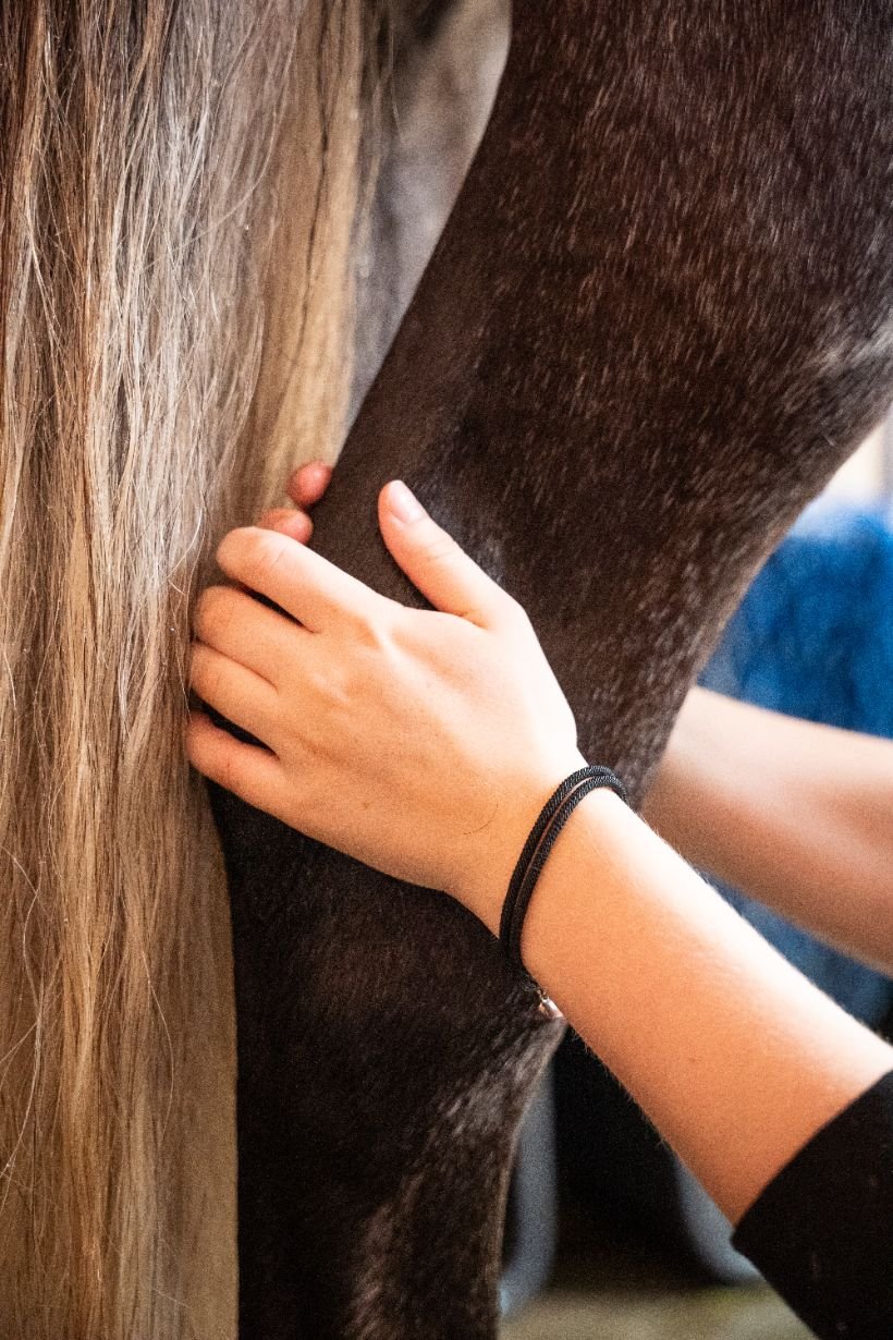 hände, armband, pferd, haar, mane