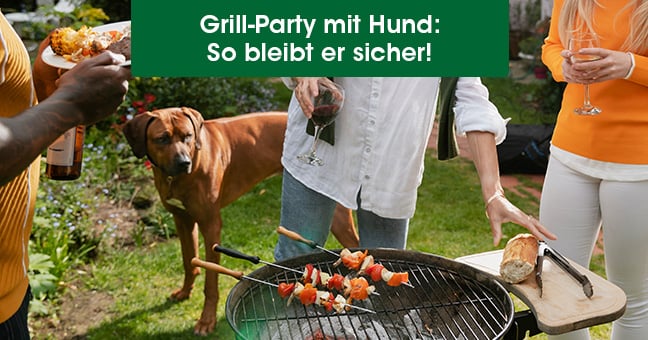Bbq, Person, Erwachsener, Männlich, Mann