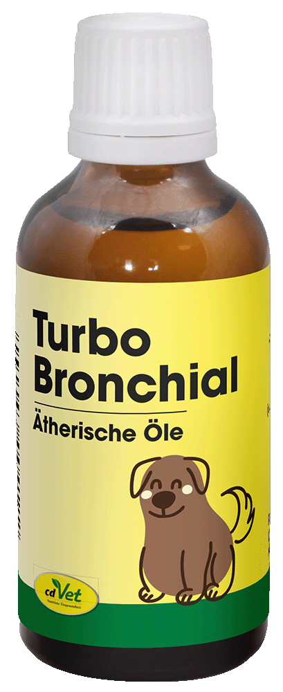 Essen, Würzen, Sirup