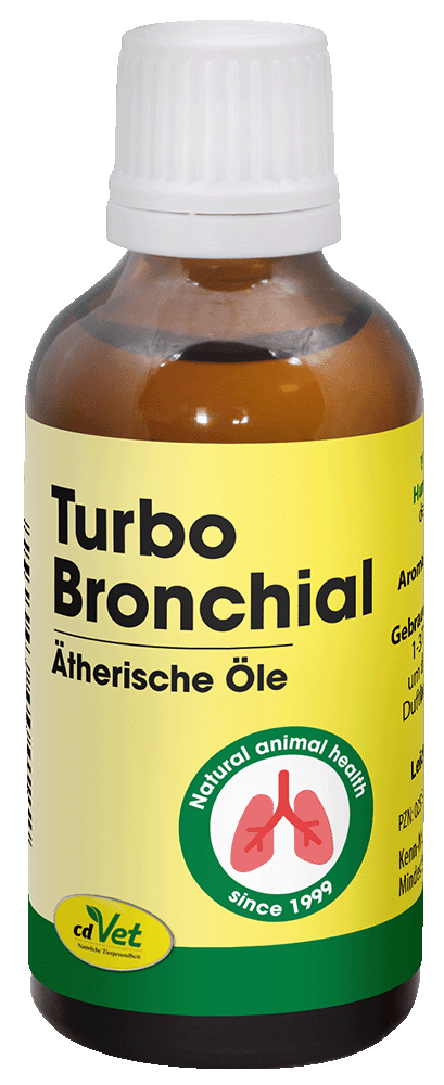 Essen, Würzen, Sirup, ätherische öl, turbo bronchial, natürlich gesundheit, flasche etikett, tropfen flasche