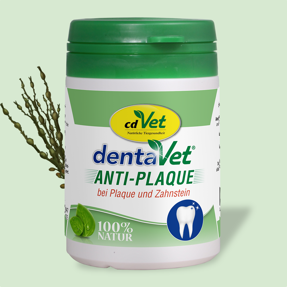 zahnreiniger, anti-plaque, dentaVet, natürlich, außenverpackung