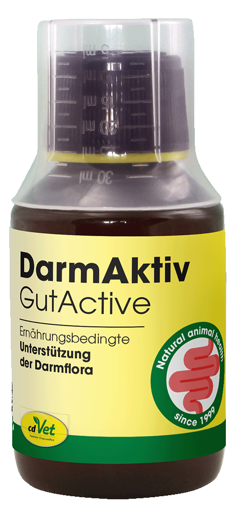 DarmAktiv, GutActive, Ernährung, Nahrungsergänzung, Darmflora