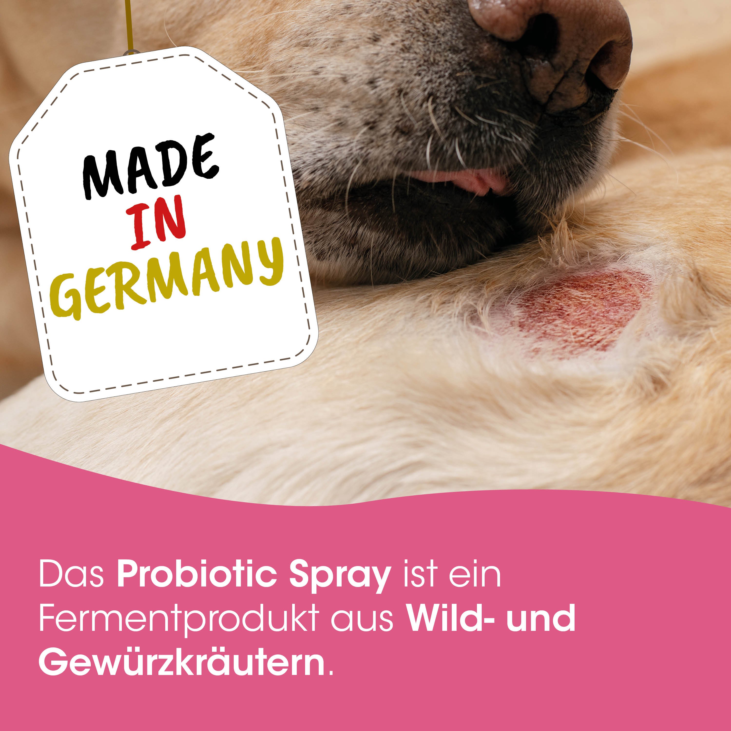 Hund, roter Hautausschlag, rote Stelle, Hautprobleme, Aufkleber, Hund, Wunde, Probiotikum, Spray, Geranie