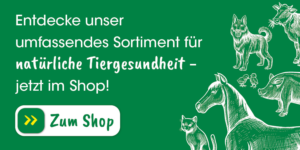 Werbung, Plakat, Schwein, Hund, Pferd