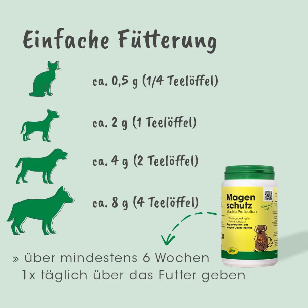 Kräuterig, Pflanze, Bär, Tierwelt, Hund