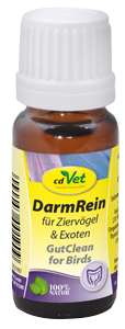 DarmRein Ziervogel