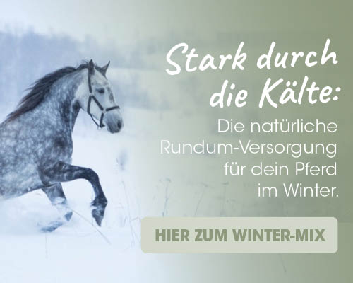 Tier, Pferd, Säugetier