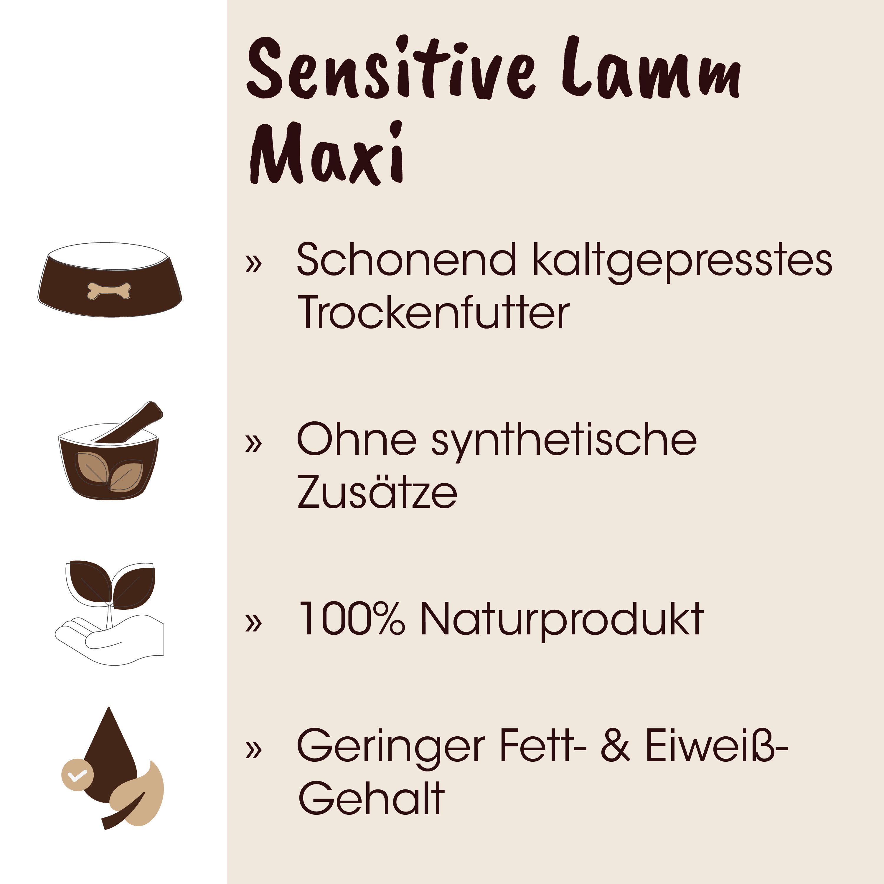 Nagetier, Schüssel, Pflanze, Hand, Naturprodukt