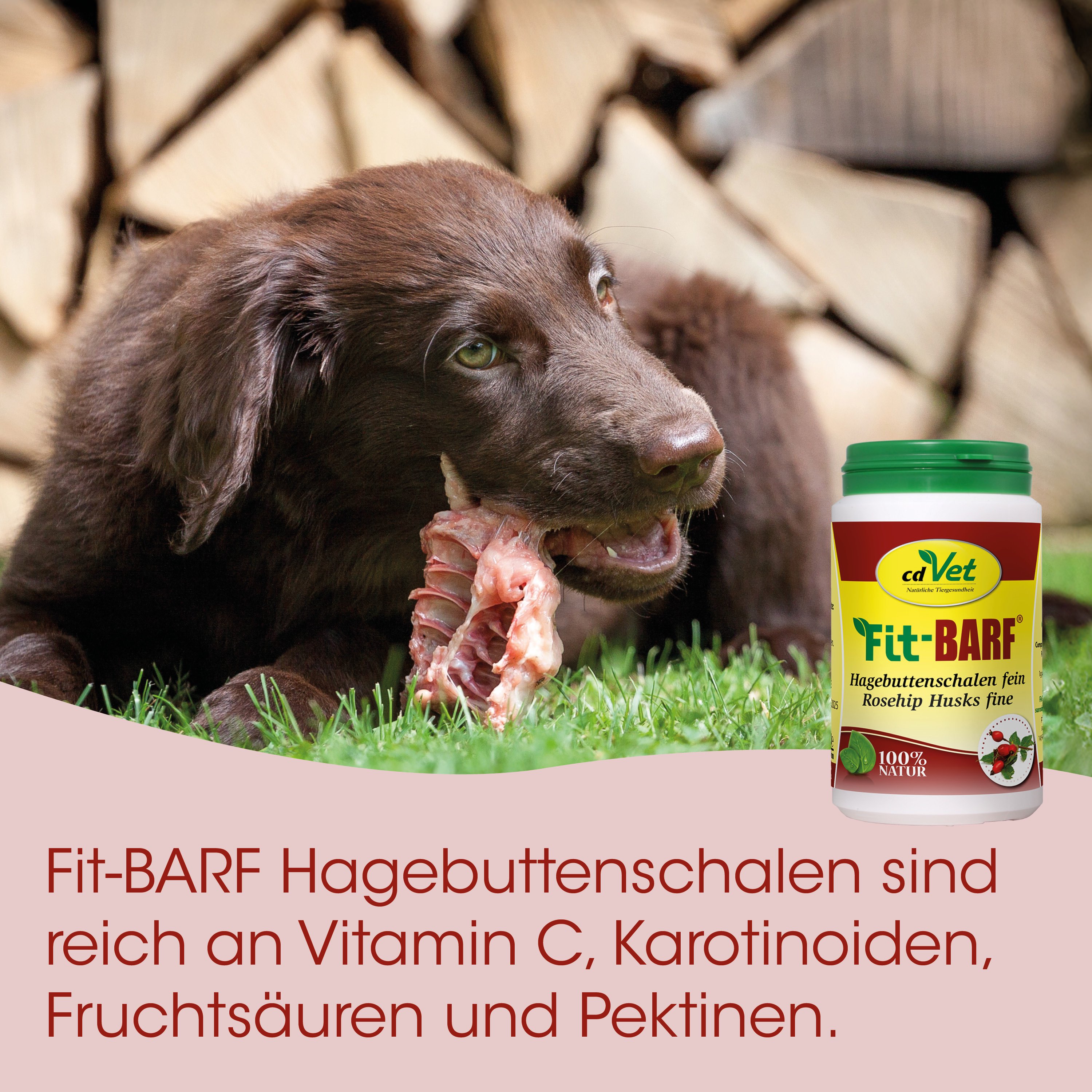 Hund, Hundefutter, Vitamin C, Vit-BARF, Knochenangebot