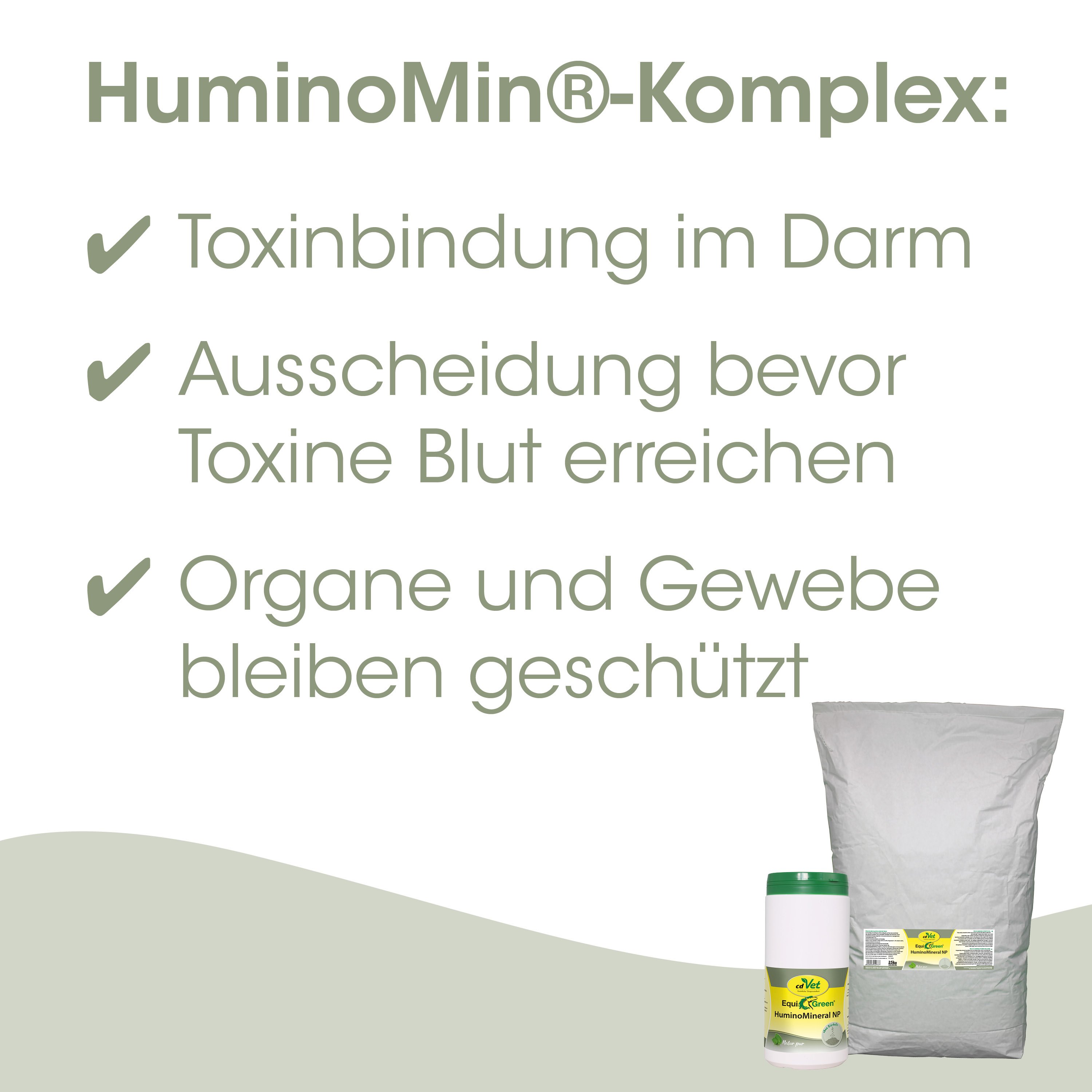 Toxin binding, Darm, Organe, Gewebe, Schutz