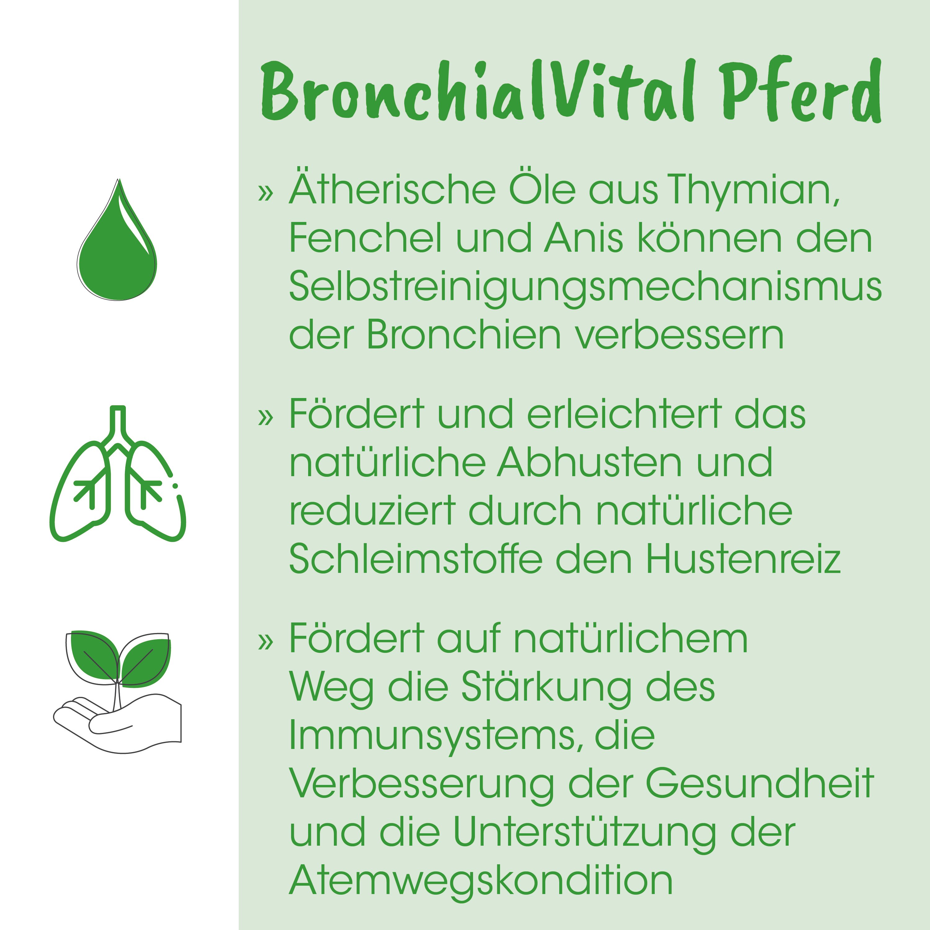 trau, lungen, pflanze, grün, illustration