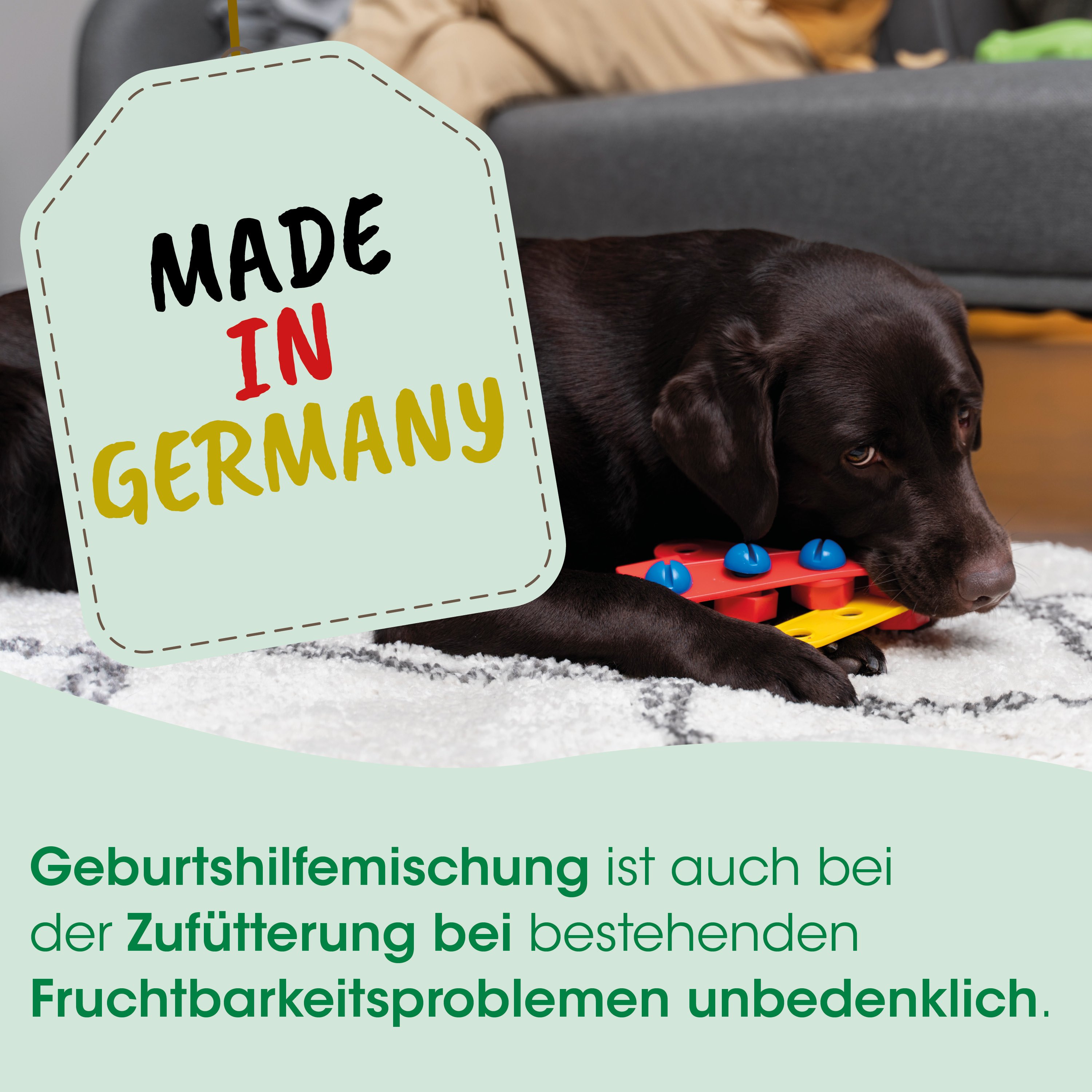 Hund, Spielzeug, Gummi, Knochen, Etikett