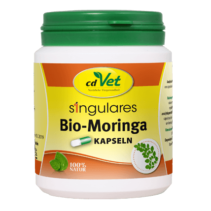 Singulares Bio-Moringa 200 Kapseln