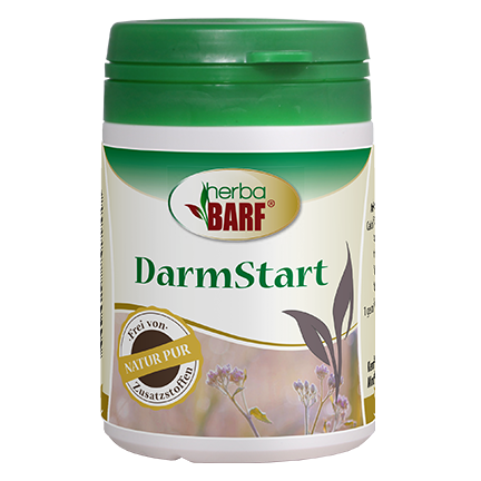 Kräuterig, Kräuter, Pflanze