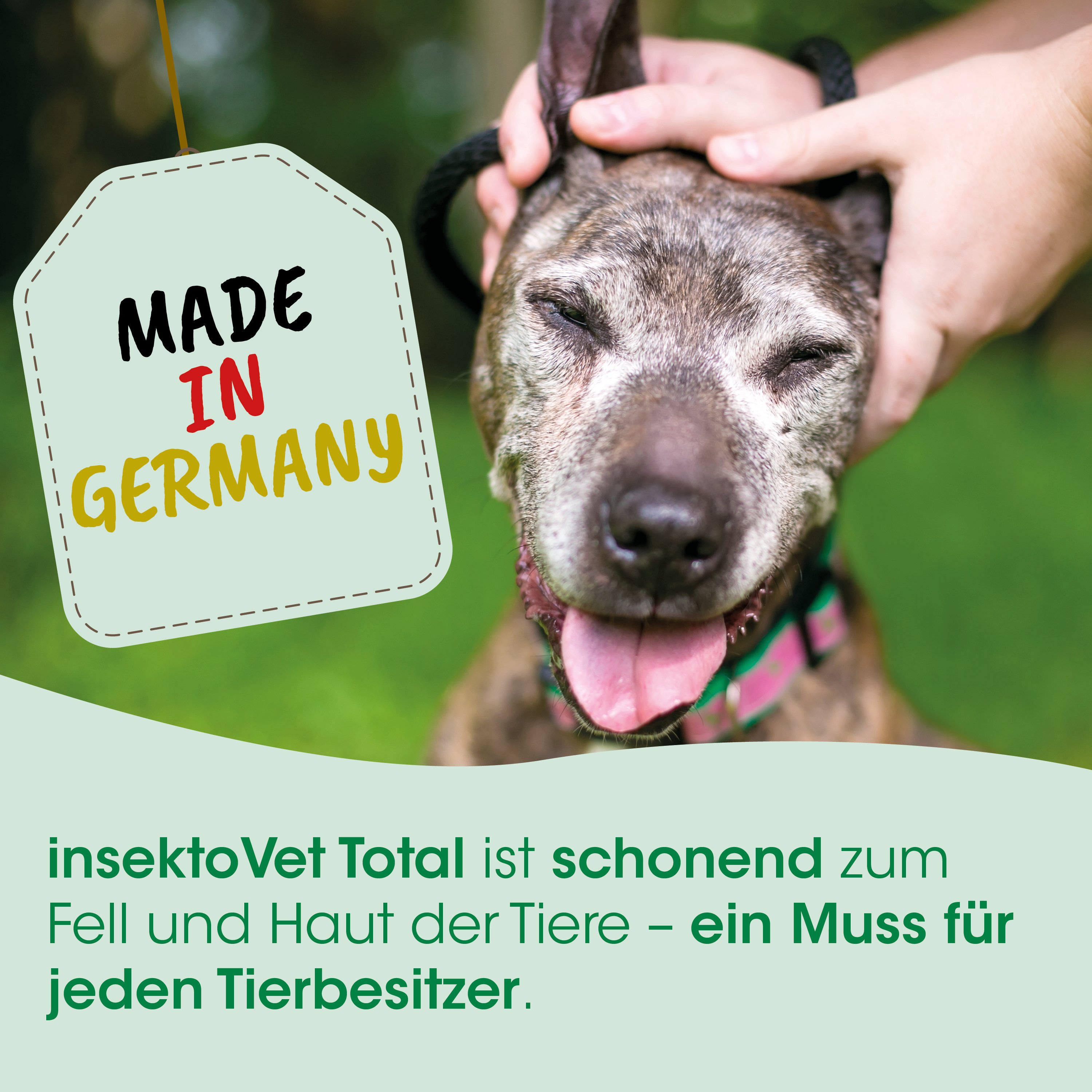 Hund, Tier, Halsband, Aufkleber, Grüne Etikette
