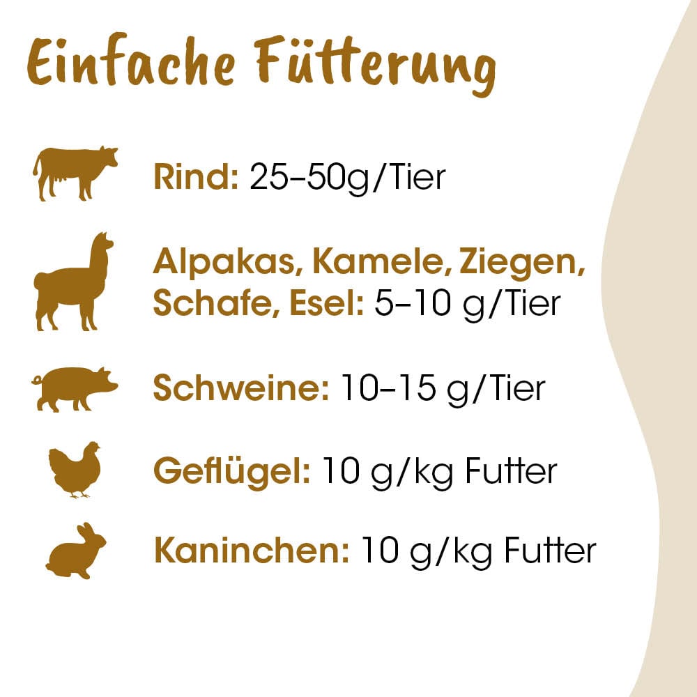 Tierarten, Futter, Rind, Alpakas, Kamele