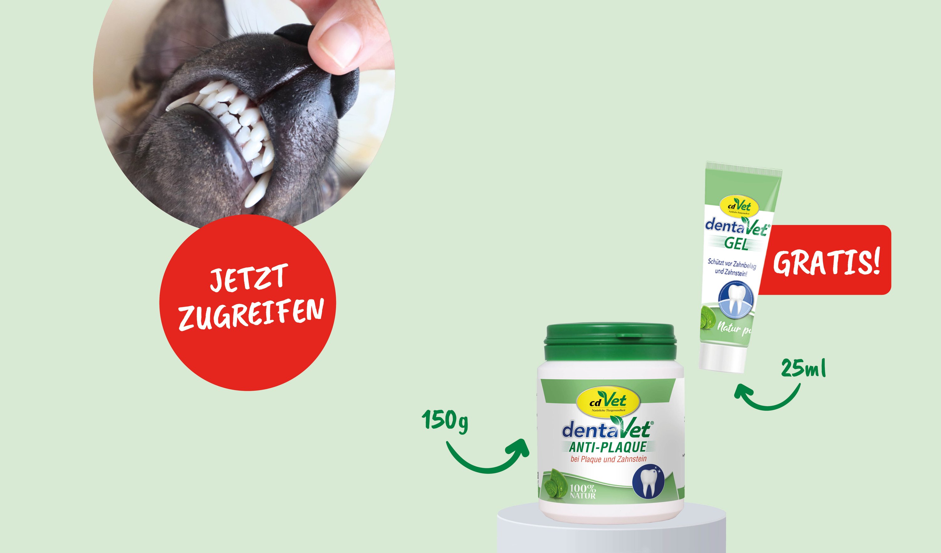 hund, zähne, beißen, pflege, zahnberatung