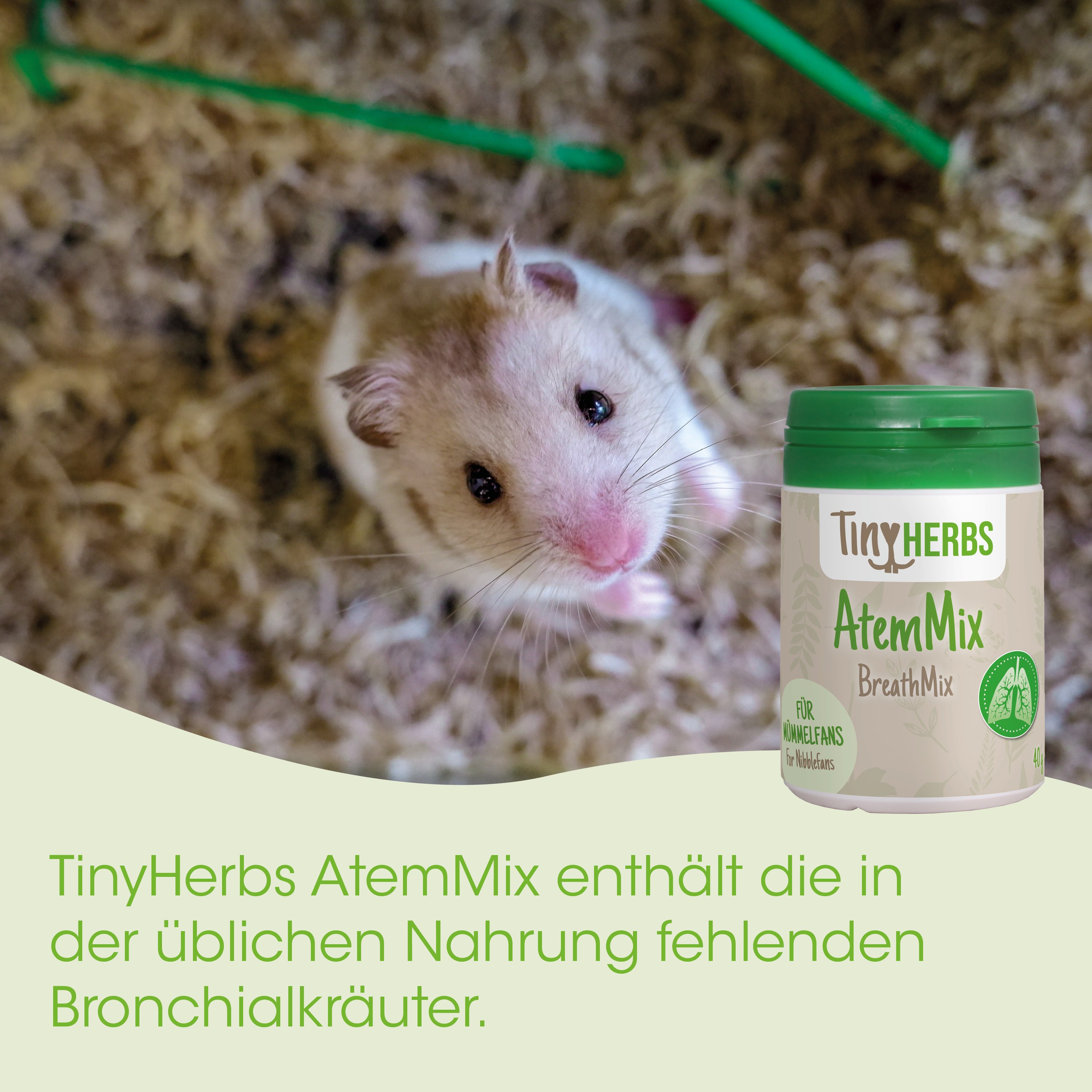  Hamster, BreathMix, AtemMix, TinyHERBS, Bronchial Kräuter