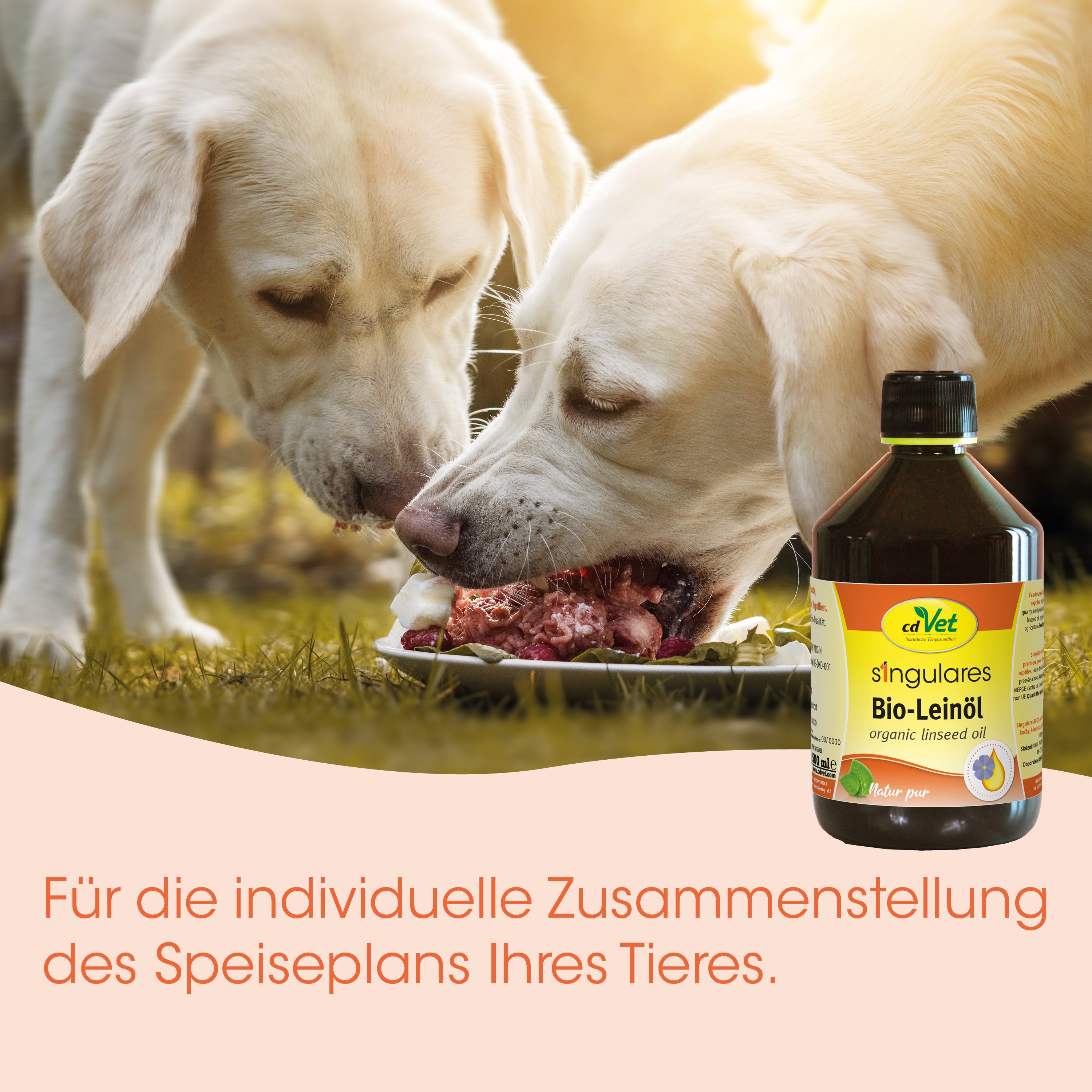 Hunde, Futtermittel, Bio-Öl, Tiernahrung, Ernährung