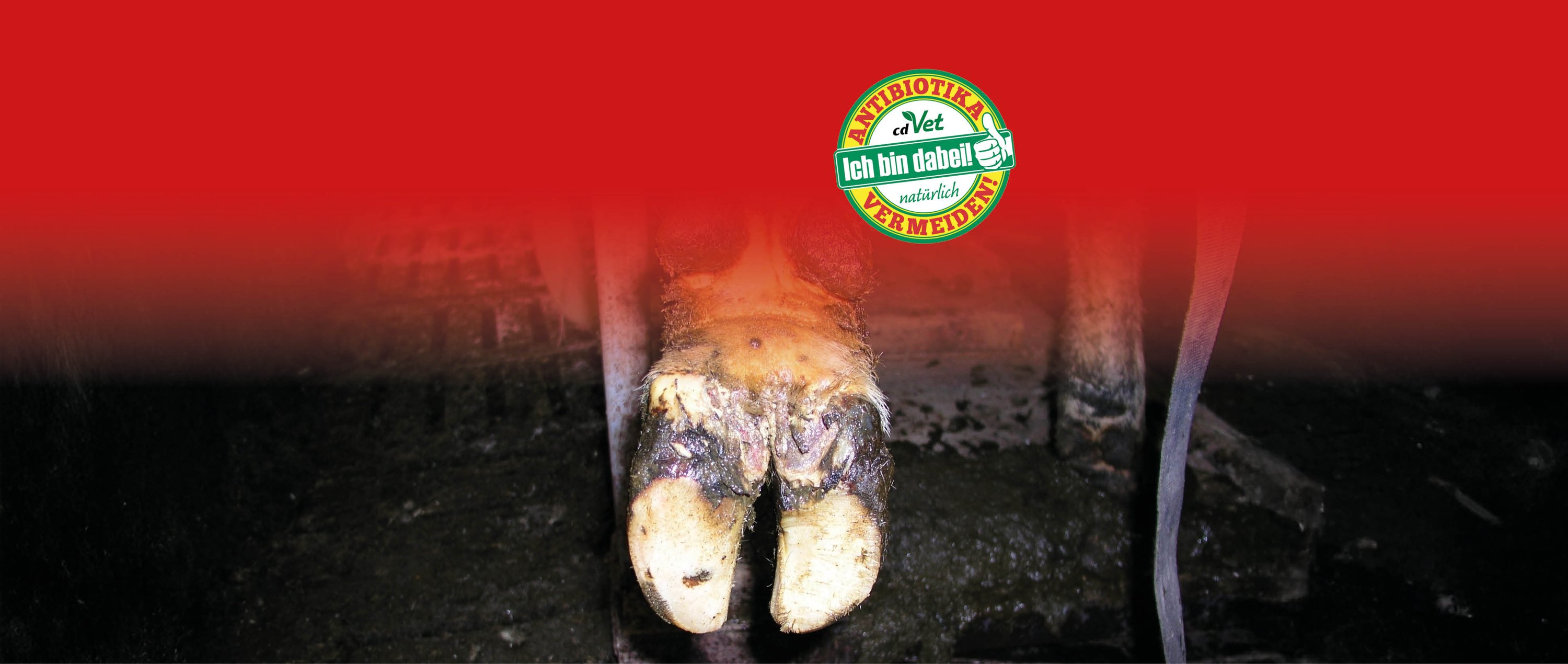Huf, Hufspaltung, Tierprodukt, Tierhaar?, Vorderpfote