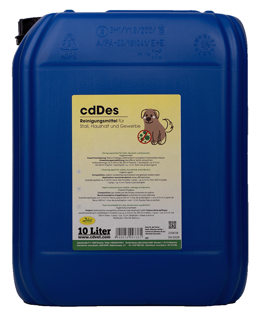 cdDes 10 L Tier, Hund, Säugetier, Haustier