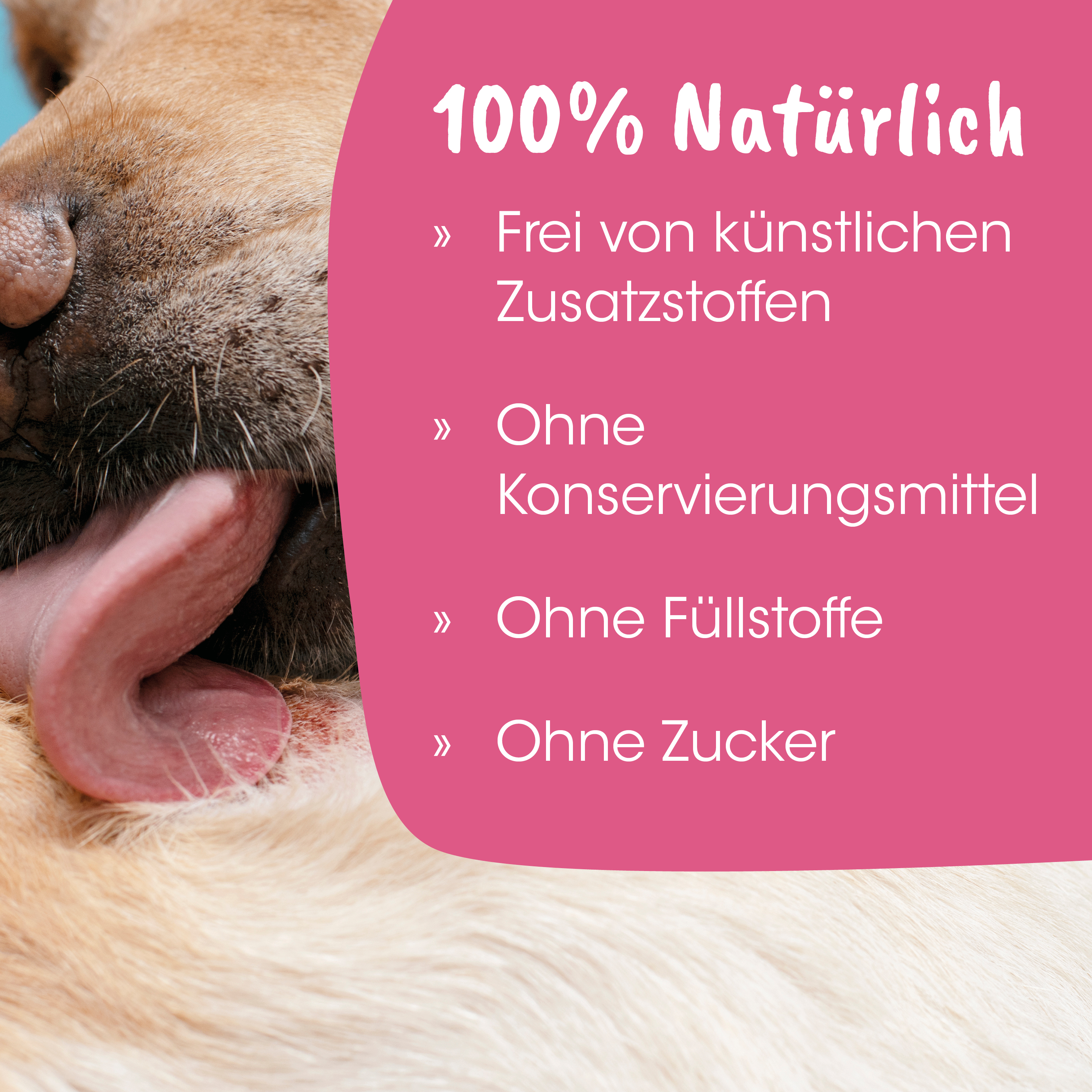 Hund, Snute, Zunge, Fell, pinkes-Label
