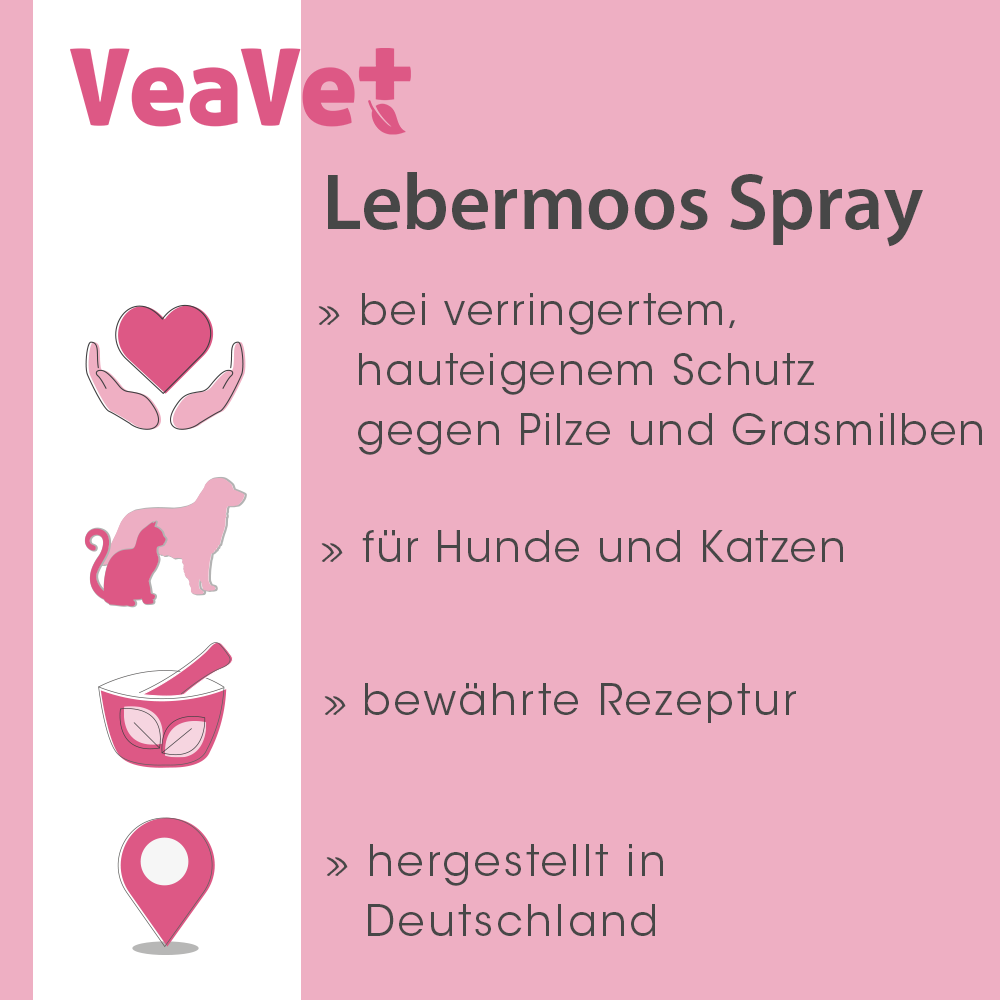Werbung, Plakat, Blütenblatt, Pflanze, Hund