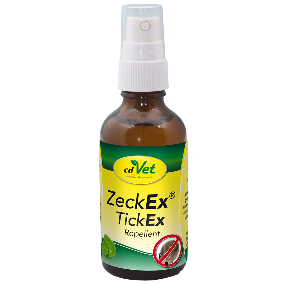 Essen, Würzen, Sirup