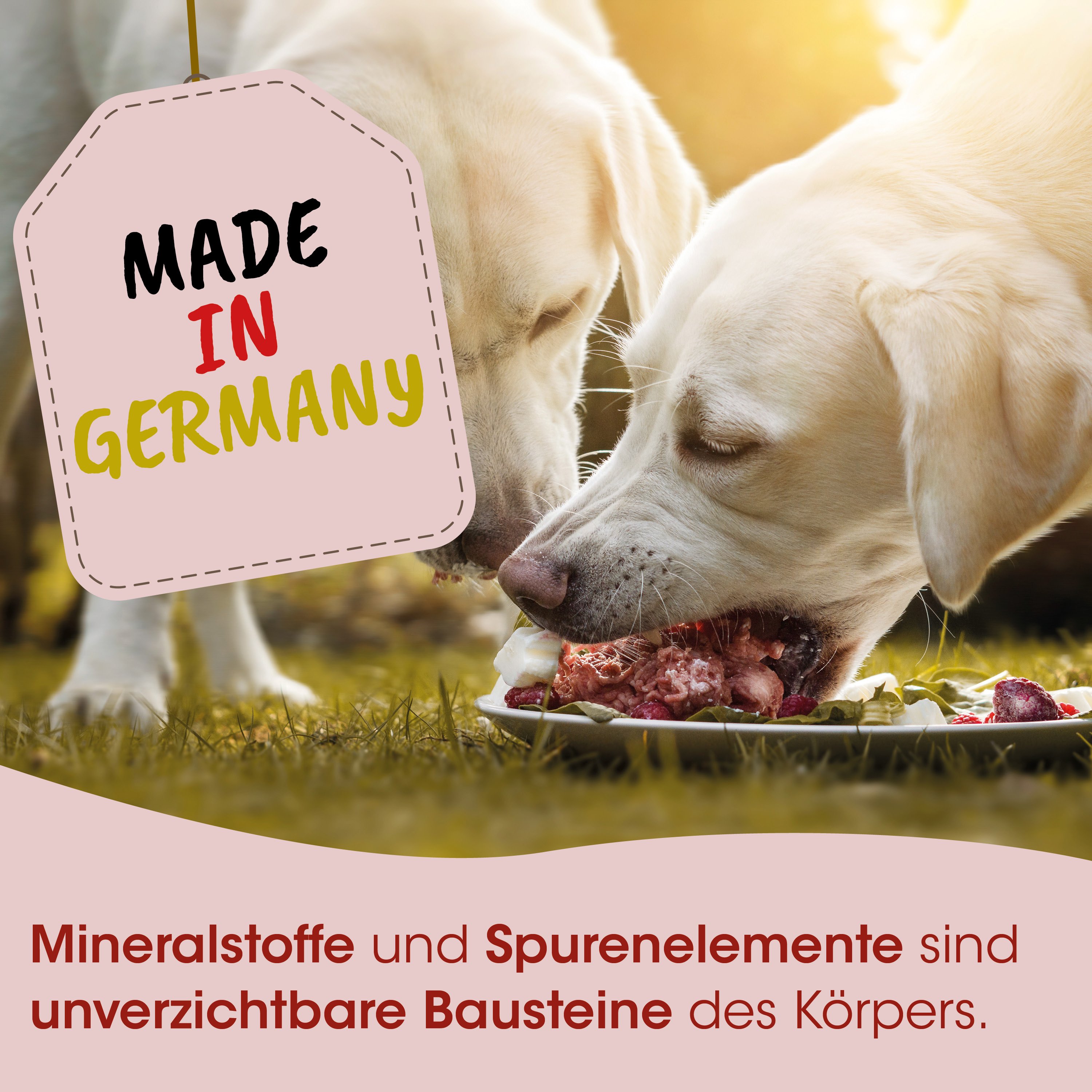 Hundennahrung, rohes Fleisch, Knochenmehl, Tiernahrung, Hergestellt in Deutschland
