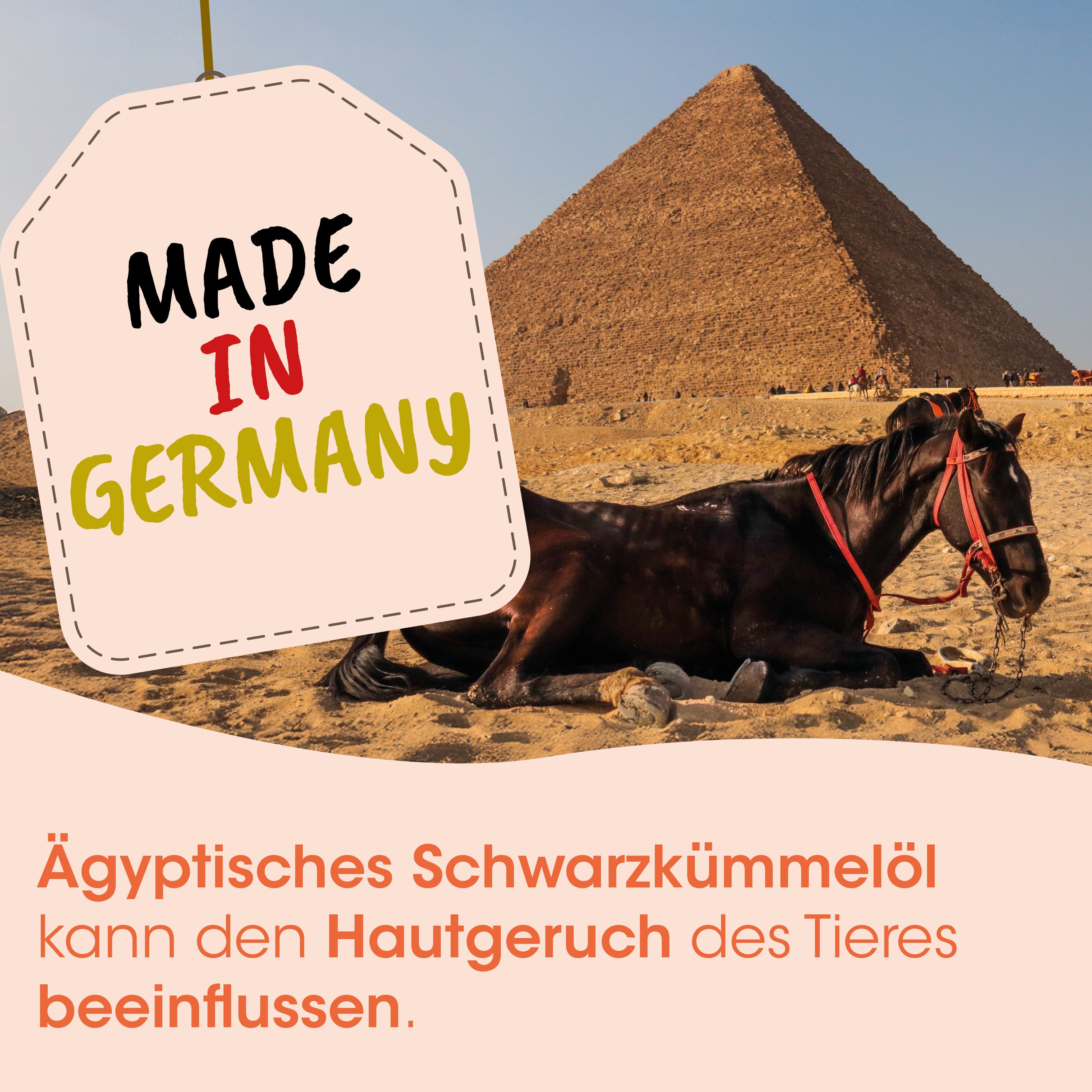 Pyramide, Kamel, Wüstensand, Pferd, Seinad