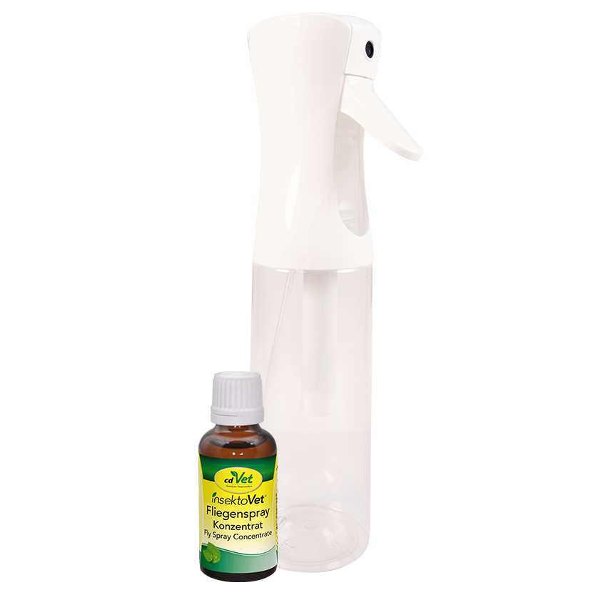 Bundle insektoVet Fliegenspray Konzentrat