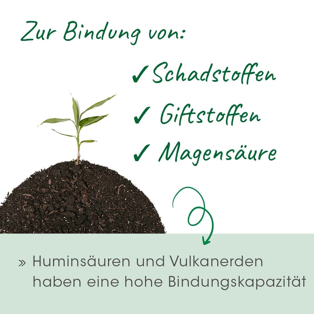 Boden, Pflanze