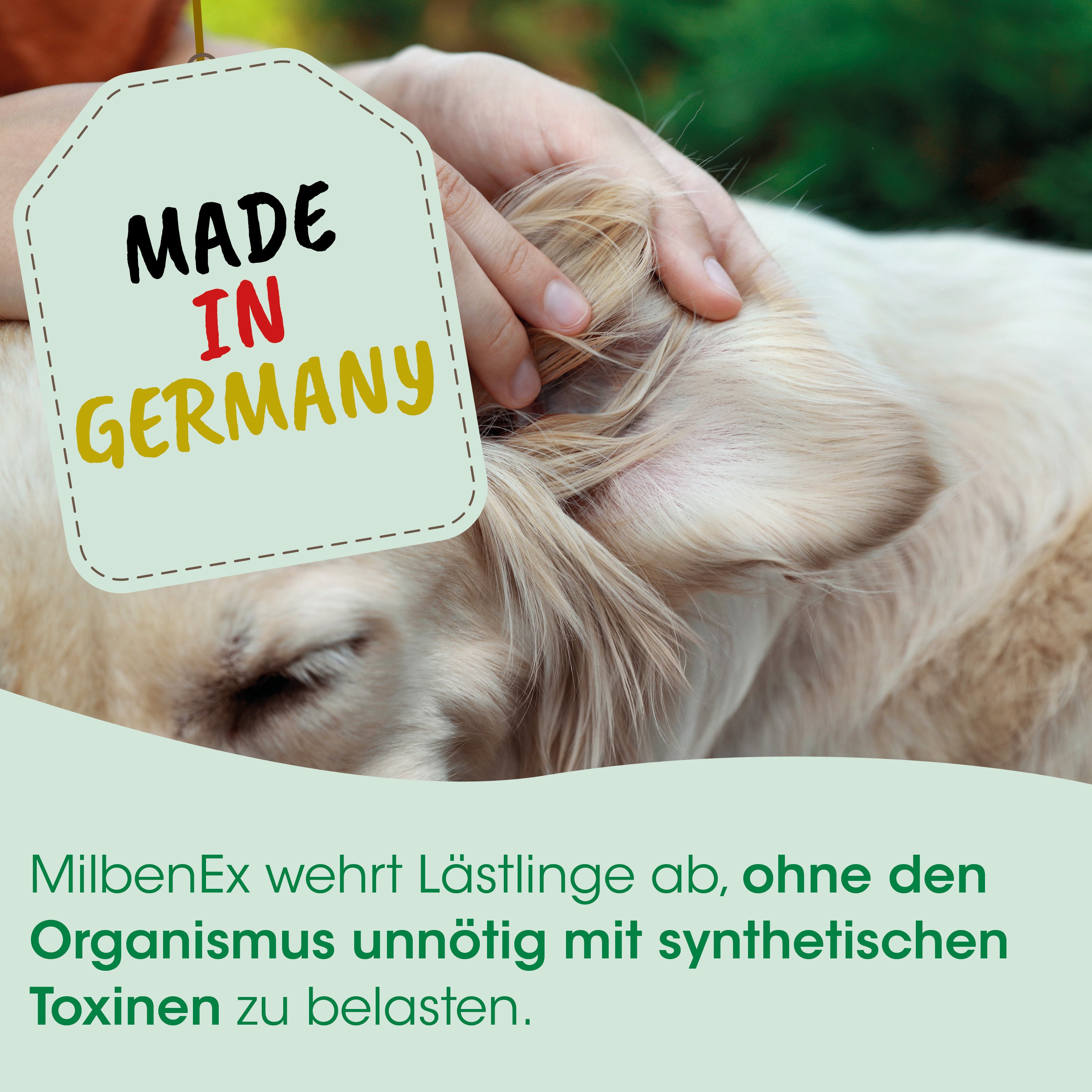 made in germany, tag, hund, hundepflege, tierprodukt