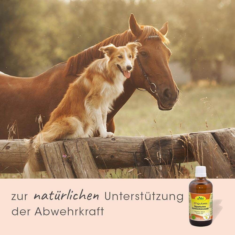 Singulares Ägyptisches Schwarzkümmelöl 100 ml