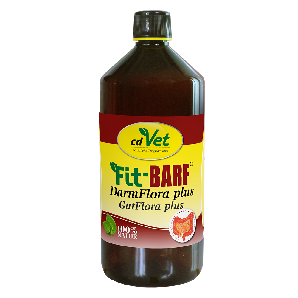 Essen, Würzen, Sirup, Ketchup