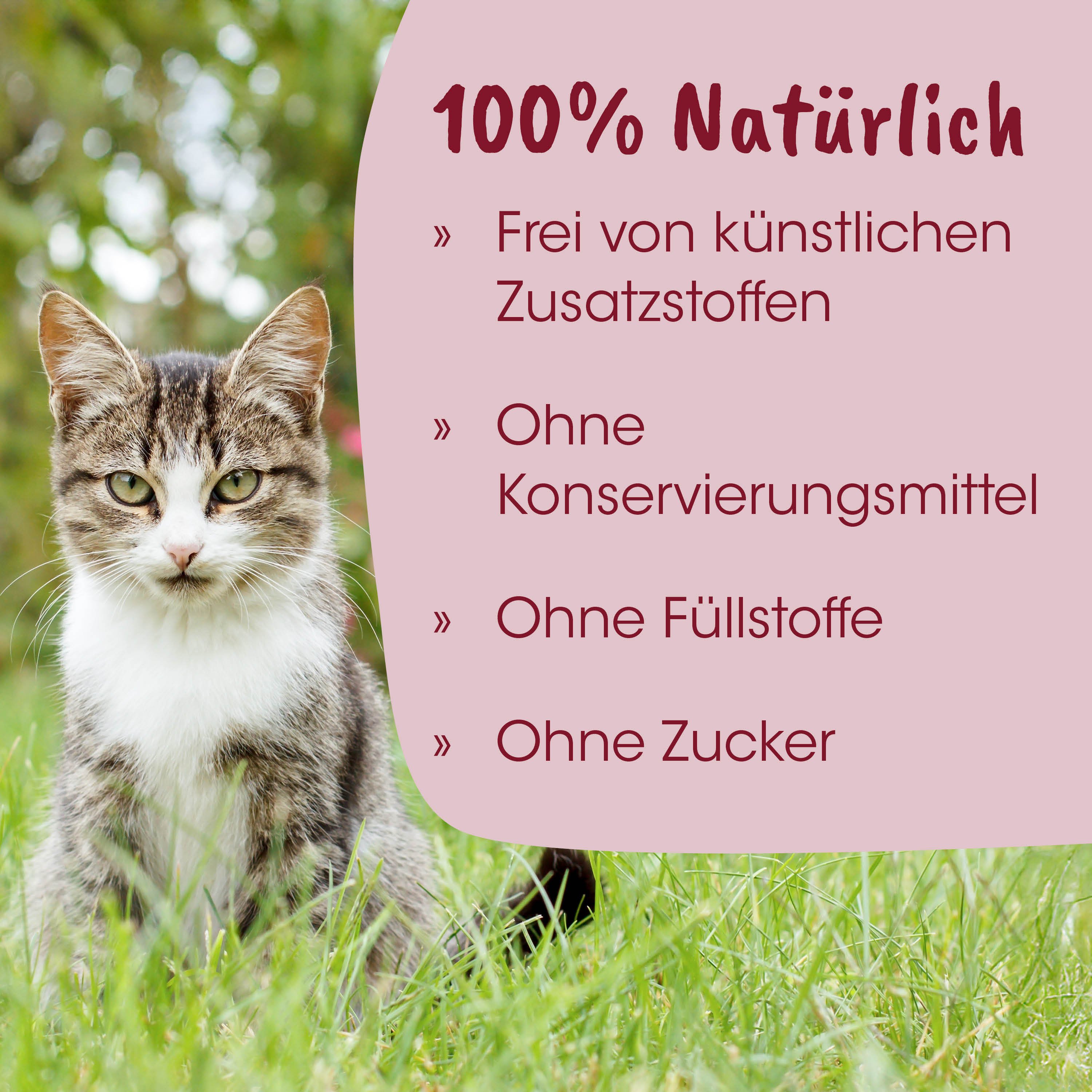  Katze,  Garten,  Fell,  Katze im Gras,  Außenaufnahme