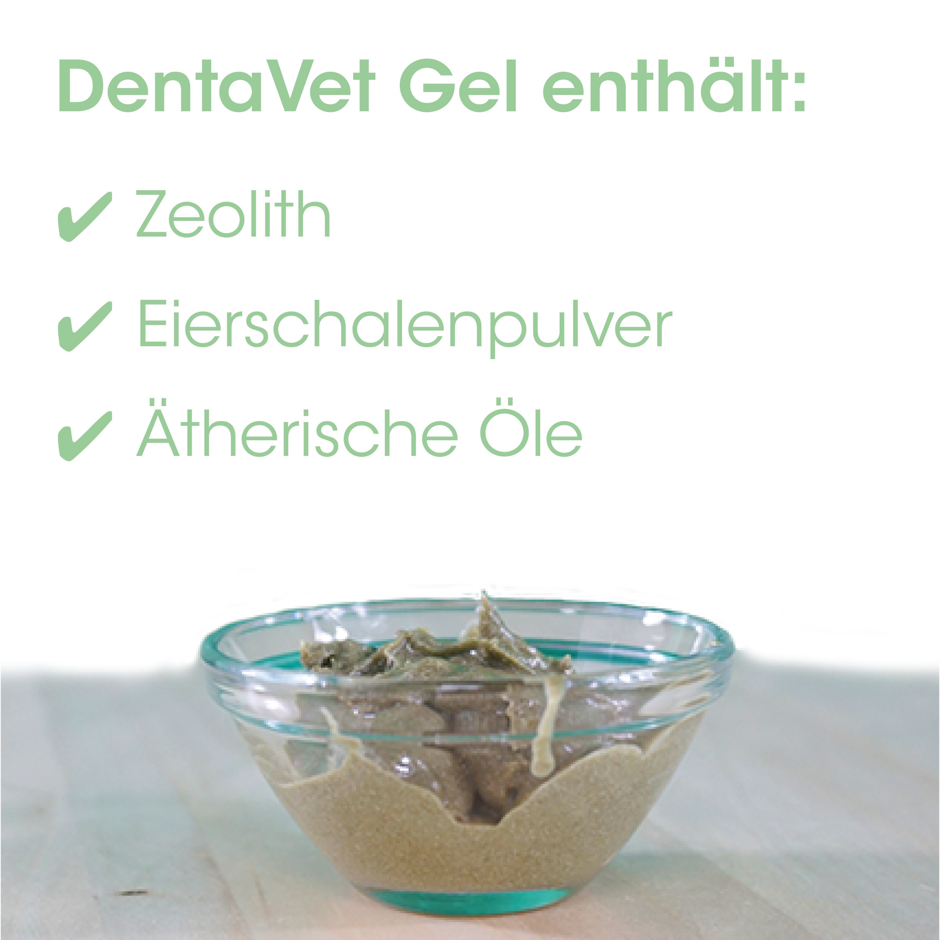 Gelee, Sand, Glas-Schüssel, Zement, DentaVet Gel