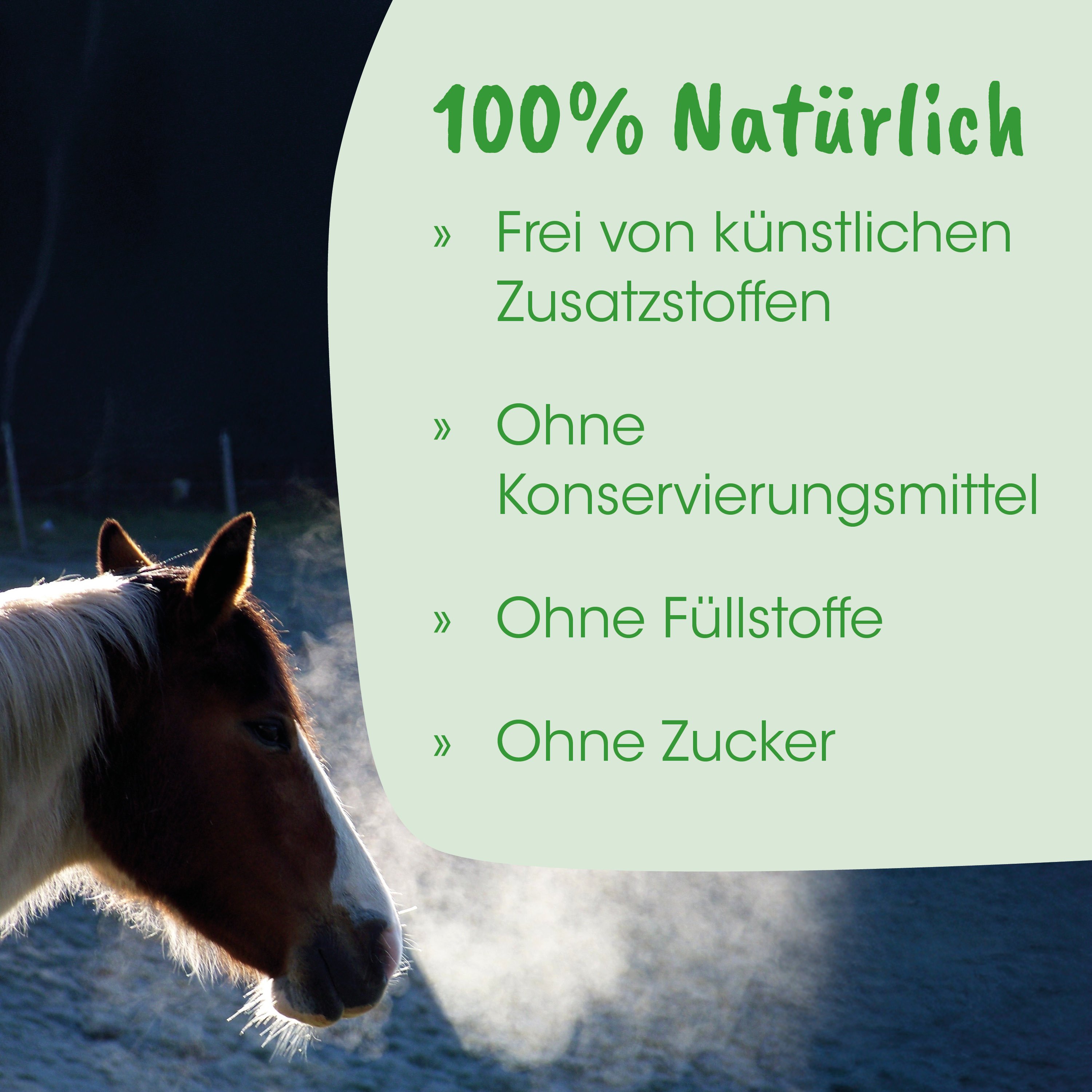 Pferd, Pony, Haar, Natur, Atem sichtbar